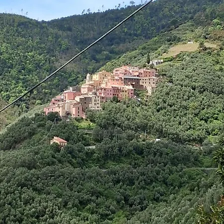 Casa Bruna *